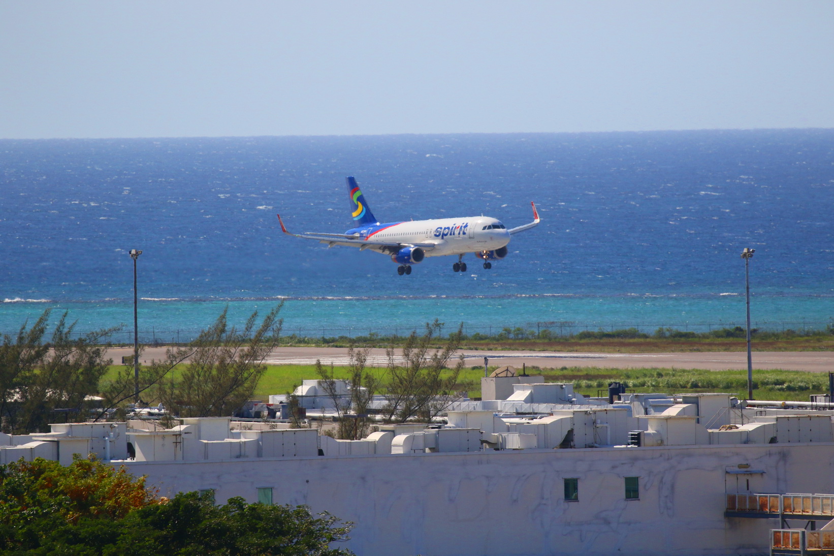 MoBay airport – BirdLife eThekwini KZN